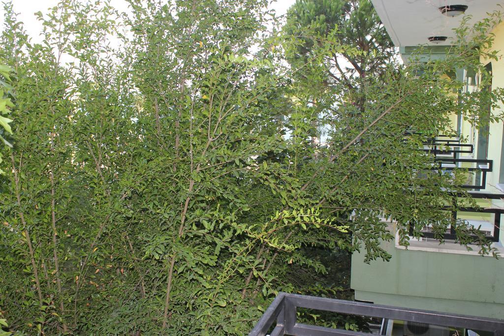 Flora Hotel Koycegiz  Стая снимка